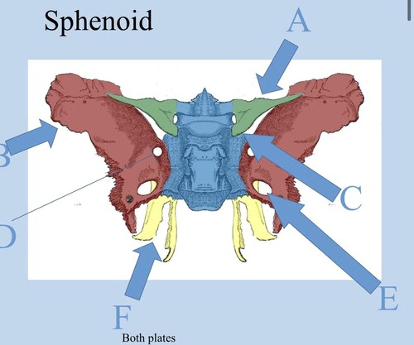 <p>What is C?</p>