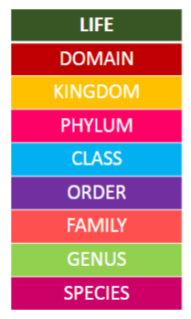<p>What levels of the Taxonomic Hierarchy do we use to name species</p>