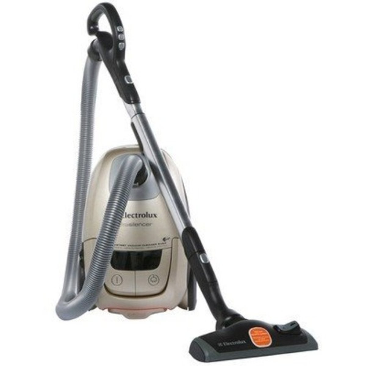 <p>a vacuum</p>