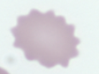 <p>What is this?</p>