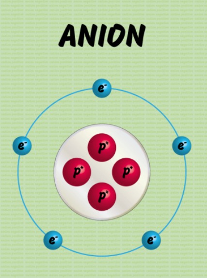 <p>negatively charged atom formed from gaining or losing electrons</p>
