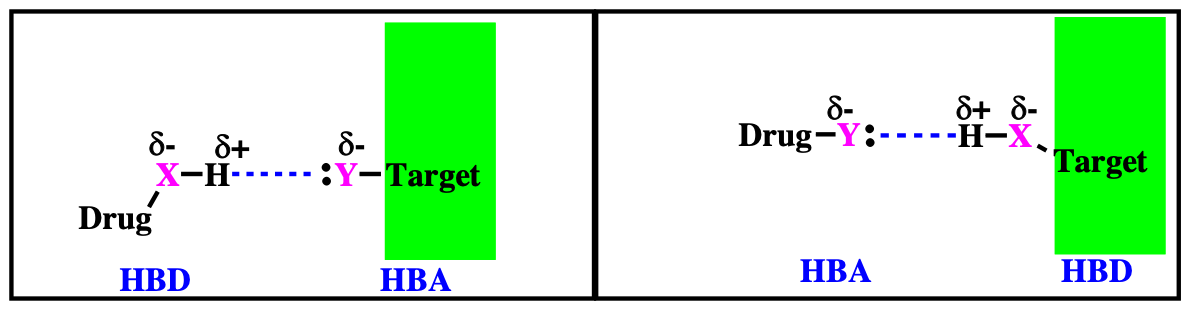 <p><em><span style="font-family: Arial">electron deficient hydrogen </span></em><span style="font-family: Arial">and an </span><em><span style="font-family: Arial">electron rich heteroatom </span></em><span style="font-family: Arial">(electronegative N or O)</span></p><p><span style="font-family: Wingdings">q</span><span style="font-family: Arial">The electron deficient hydrogen is usually attached to a heteroatom (O or N)</span></p>
