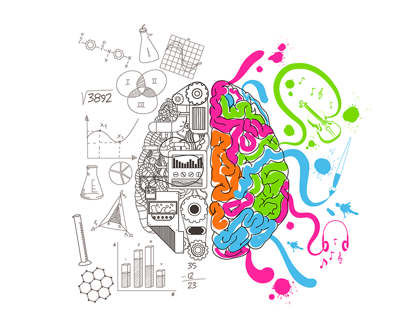 <p>To view sociology as a science that uses the scientific method to study social facts from a macro (large-scale) perspective</p>