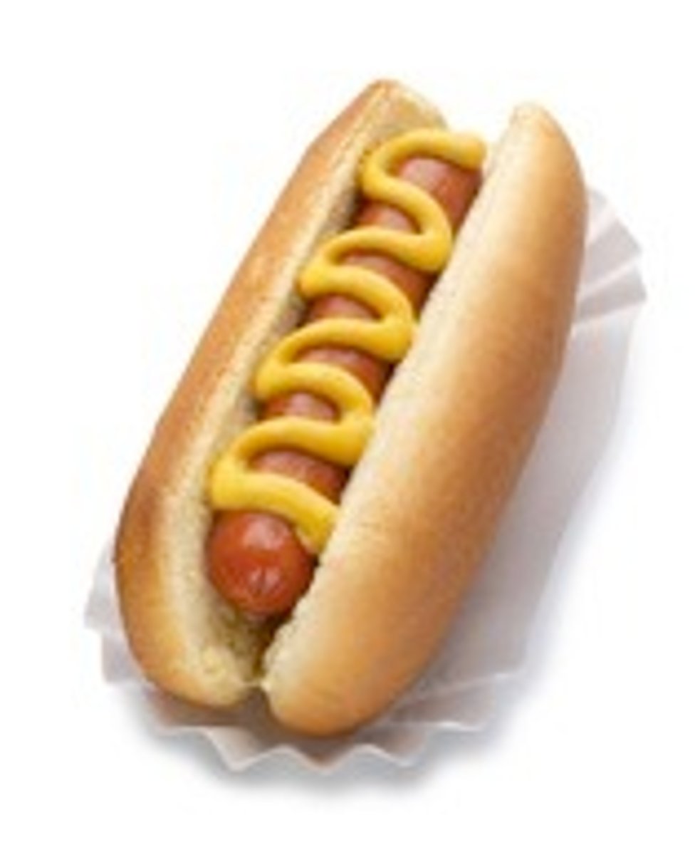 <p>a hot dog</p>