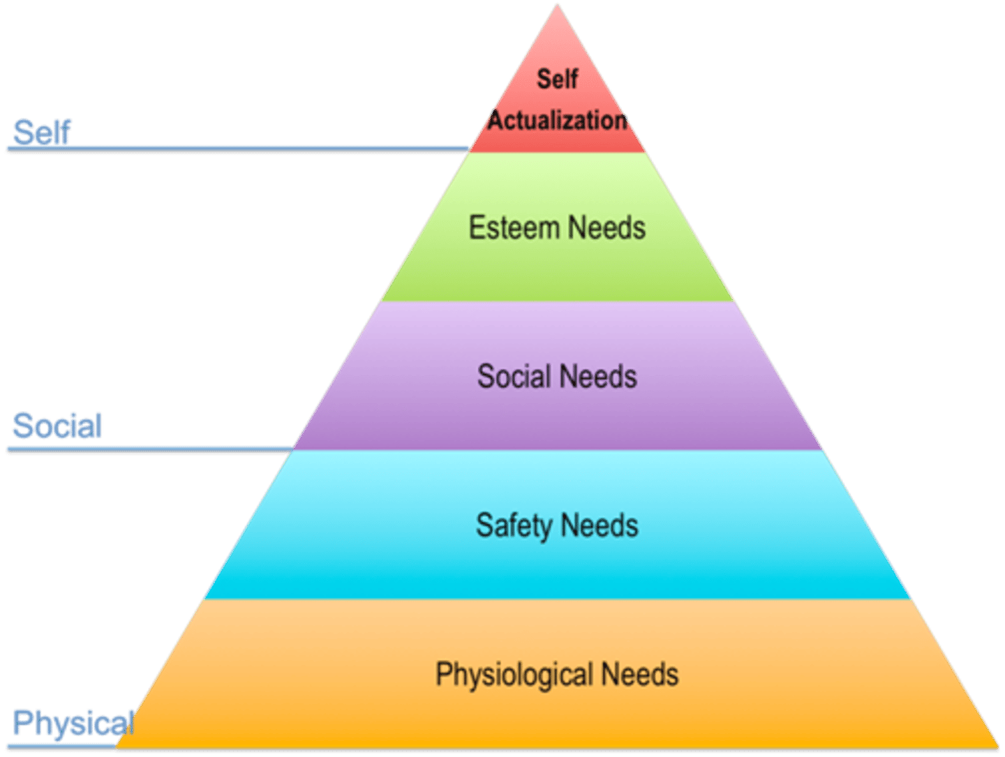 <p>theories that view personality with a focus on the potential for healthy personal growth</p>