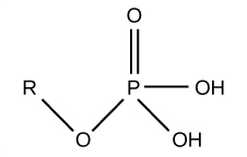 <p>What functional group is this?</p>
