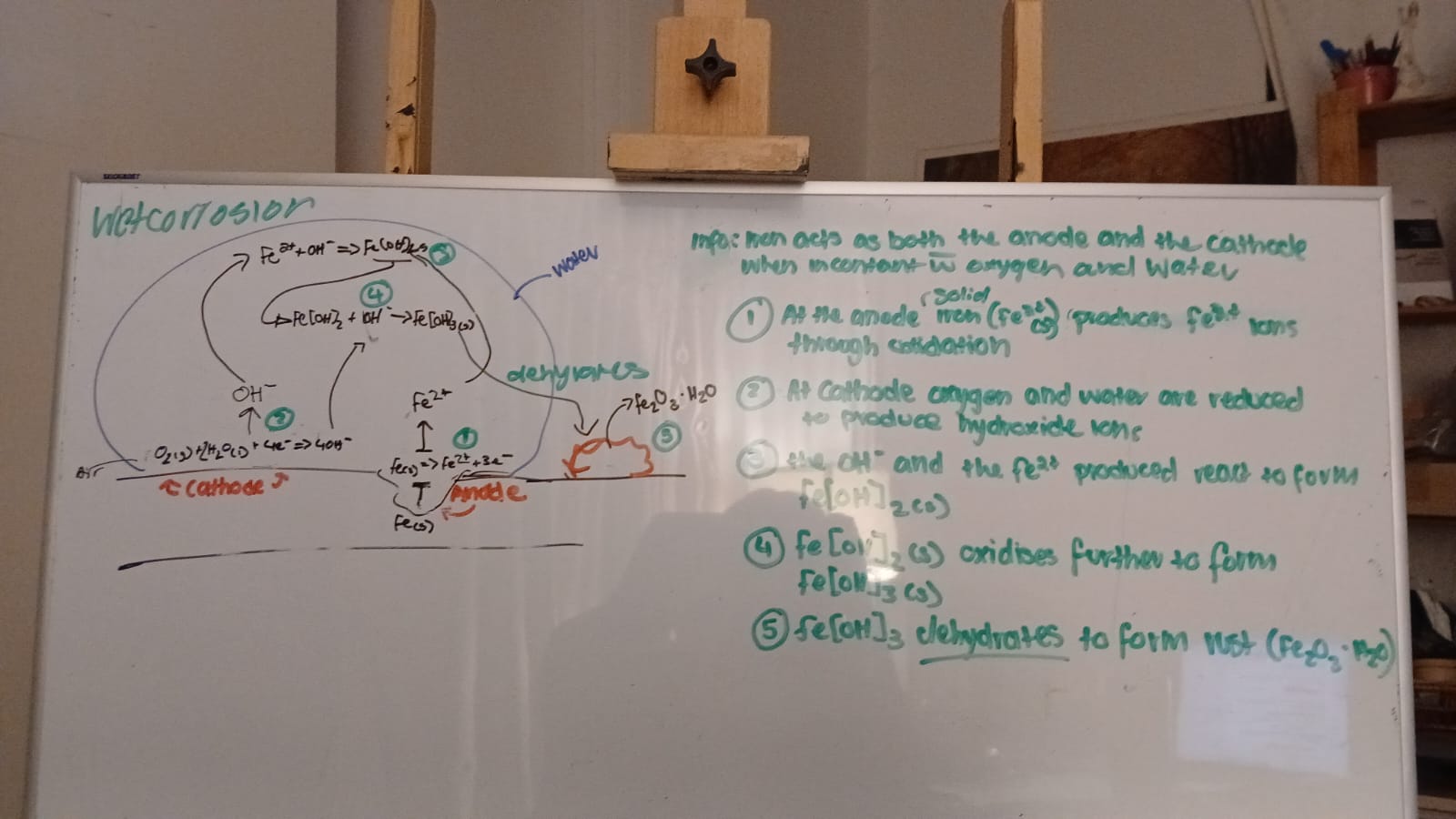 <ul><li><p>at anodic site, electrons are released when iron atoms are oxidised to iron (II) ions</p></li><li><p>at cathodic site the electrons reduce oxygen gas and water to produce hydroxide ions</p></li><li><p>these combine to form insoluble iron (II) hyrdoxide</p></li><li><p>iron (II) hydroxide is readily oxidised by more oxygen in the air to form iron (III) hydroxide</p></li><li><p>Iron (III) hydroxide dehydrates to form rust, Fe2O3*H2O</p></li></ul><p></p>