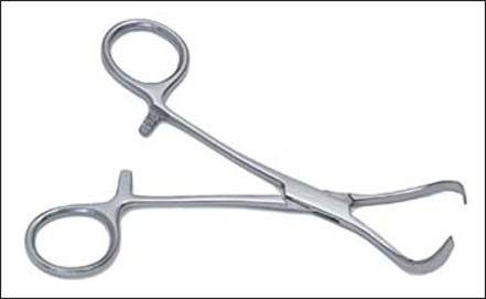 <p>name of instrument</p>