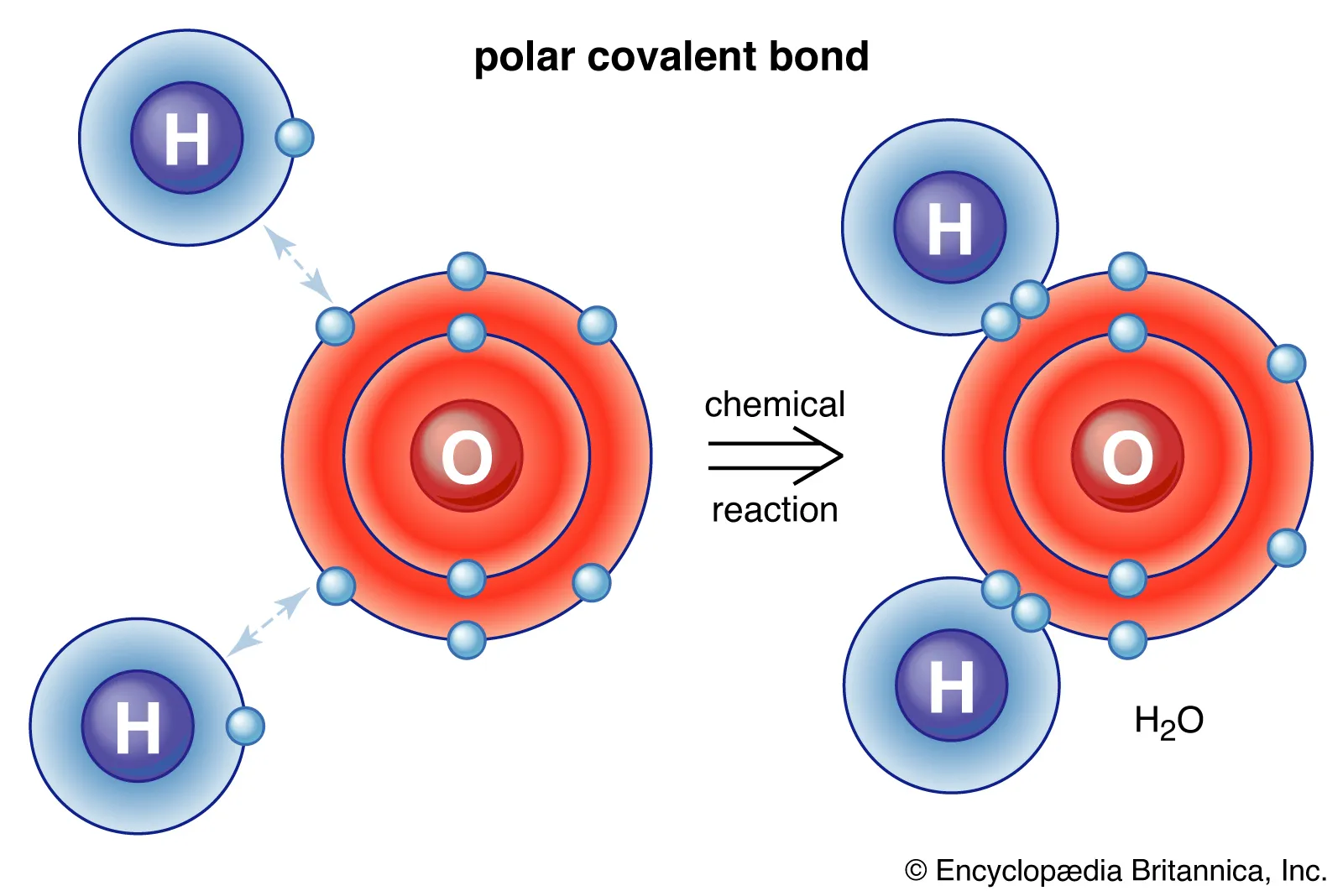 <p>A form of bonding between two or more non-metals share one or more electrons with each other to allow both to reach stability</p>