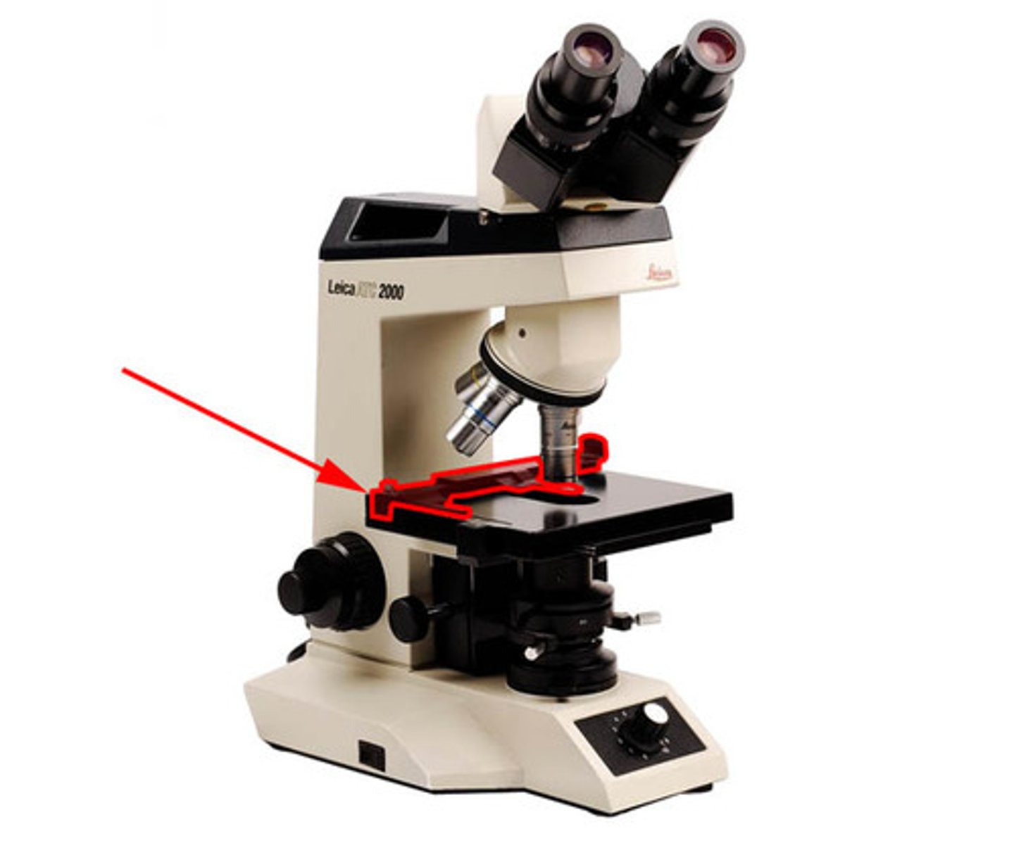 <p>(holds the prepared microscope slide to be viewed)</p><p>(slide is held in place by a spring mechanism)</p>