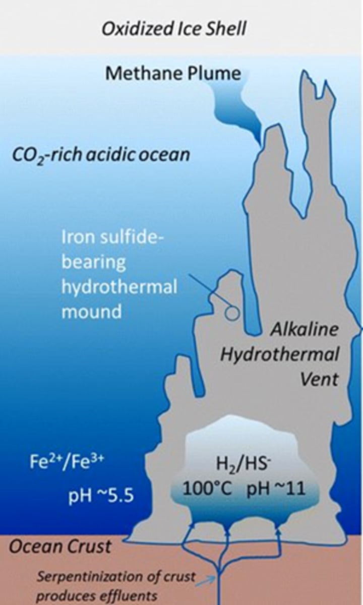 <p>· At the heart of all cell metabolism is acetyl & pyruvate, which work to produce important amino acids & sugars</p><p>- Acetyl-P = phosphorylated acetyl</p><p>o Phosphates readily attach in M-U environments</p><p>o High energy bonds that support other rxns are easily made</p><p>~ Wants to lose energy/give up electrons</p><p>o Used as energy before ATP</p><p>- Pyruvate is made from metal catalysts, acetyl, & CO₂</p><p>· Many enzymes contain FeS & NiS prosthetic groups</p><p>- The prosthetic grp is the catalyst</p><p>- The surrounding protein makes them more specific/specialized</p>