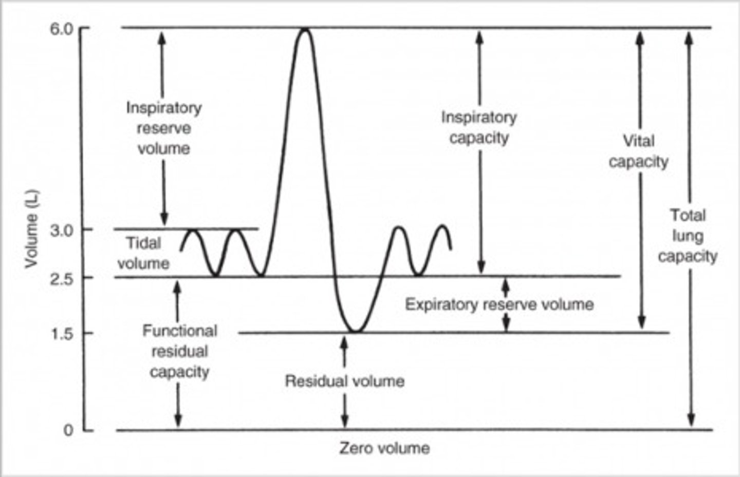 <p>Ventilation rate can be monitored by data logging with a spirometer or a chest belt. Tidal volume can be recorded for a given period of time or average tidal volume found and multiplied by the number of breaths per minute. The measurement must include a reference to time.</p>