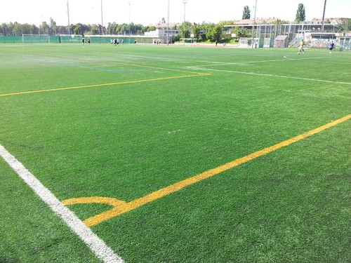 <p>athletic field</p>