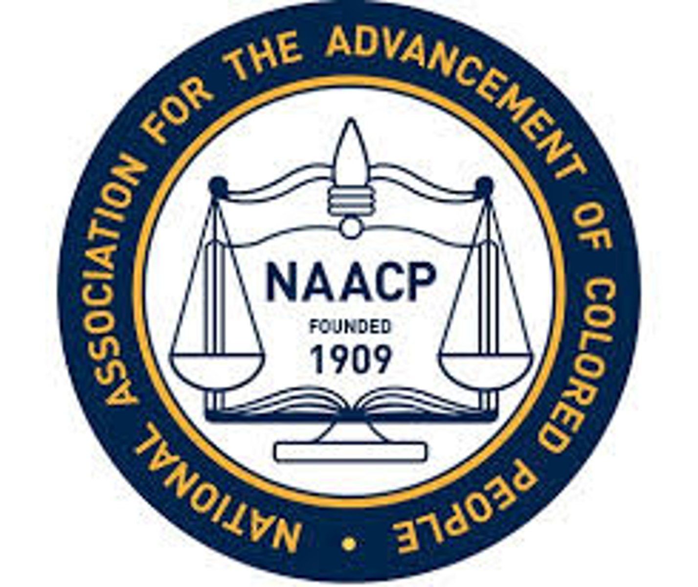 <p>National Association for the Advancement of Colored People</p>