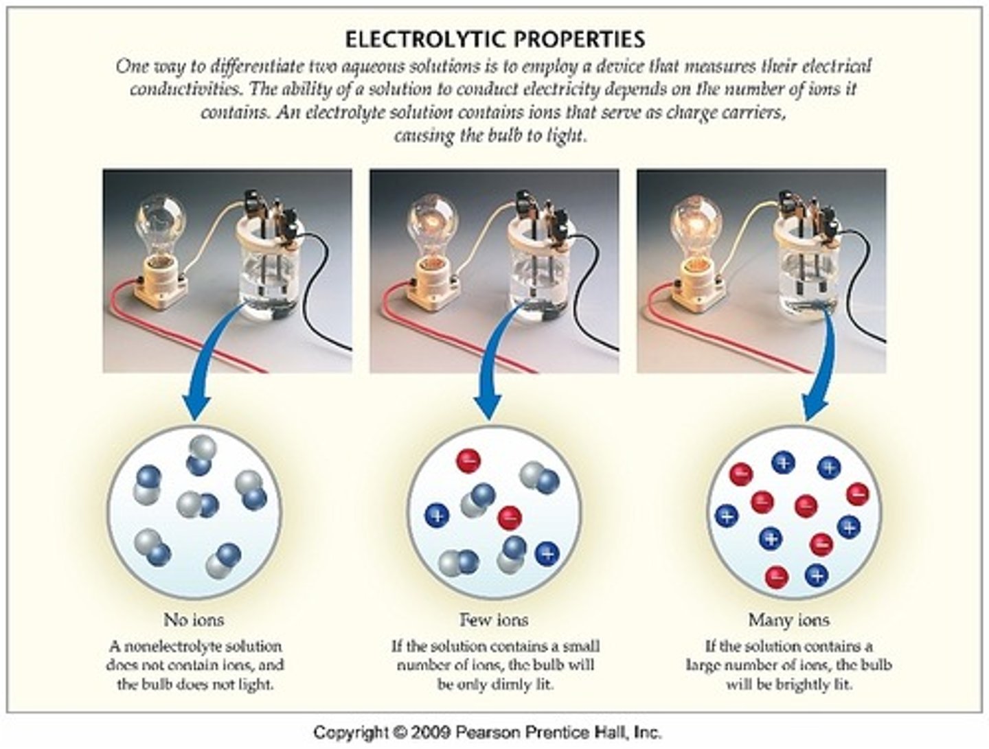 <p>ionic substance dissolve into MOBILE FREE MOVING ions. These ions can move freely</p>