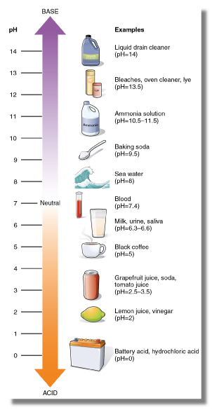 <p>pH level</p>