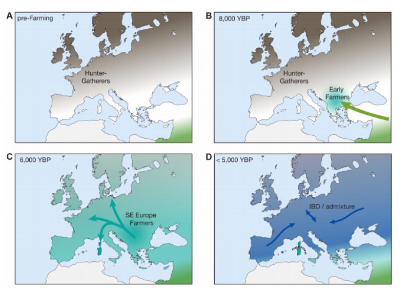 <ul><li><p><span style="line-height: normal; font-size: 7pt;"><span> </span></span><span><span>took 1000s ears for agriculture to expand across Europe – UK was behind</span></span></p></li><li><p class="MsoListParagraphCxSpMiddle"><span style="font-family: "Times New Roman"; line-height: normal; font-size: 7pt;"><span> </span></span><span><span>Modern DNA analysis can help us examine the spread of agriculture in more detail</span></span></p></li><li><p class="MsoListParagraphCxSpLast"><span><span>Sikor et al (2014, PLoS Genetics)</span></span></p></li></ul><p></p>