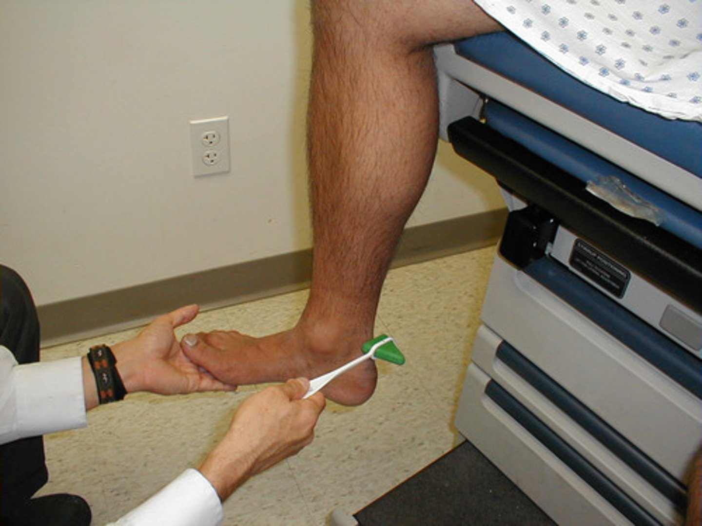 <p>achilles tendon</p>