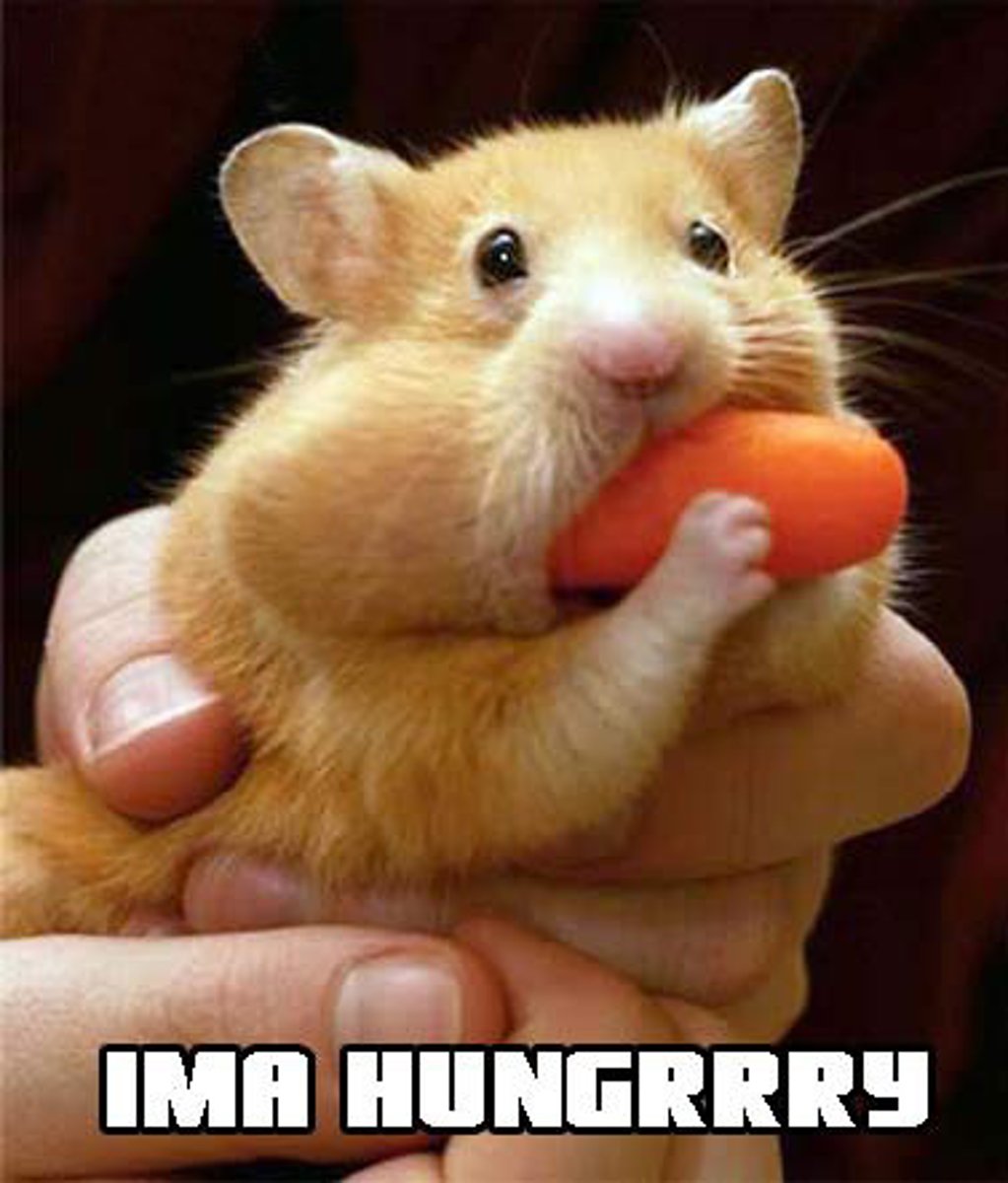 <p>A hunger-arousing hormone secreted by an empty stomach</p>