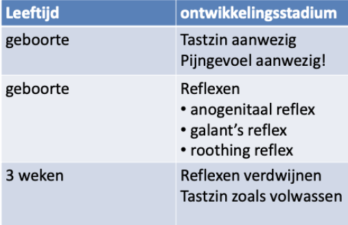 <p>○ Ontwikkeling</p><p>■ De tastzin is goed ontwikkeld bij het pasgeboren kitten</p><p>■ Kittens hebben tastzin nodig om de moeder op te zoeken en hun</p><p>temperatuur op peil te houden en ook om zich te kunnen voeden</p><p>■ Zelfde 3 reflexen bij de hond</p><p>● Anogenitaal reflex is heel belangrijk zie hond!!</p><p></p><p>○ Gevoeligheid aanraken</p><p>■ Meeste poezen</p><p>● Meer dwingen meer weerstand</p><p>■ Grote behoefte tegen elkaar aanliggen binnen sociale groep</p><p>● Kleur kat: Alleen rood is het vaker kater, als een kat 3 kleuren heeft is het een poes!</p>