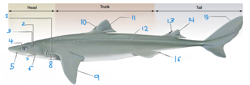 <p>What is number 2</p>