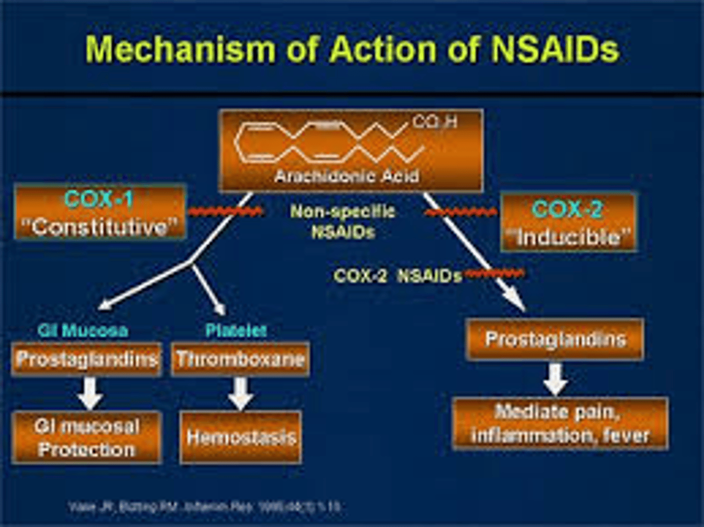 <p>bind to COX active site, therefore blocking arachidonic acid</p><p>(can be nonselective or COX2 selective)</p>