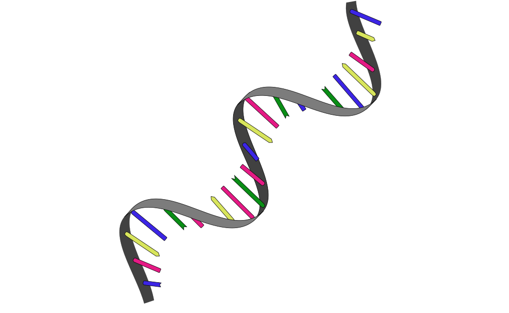 <p>What type of RNA is this?</p>