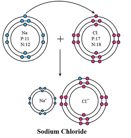 <p>What is represented in this image? </p>