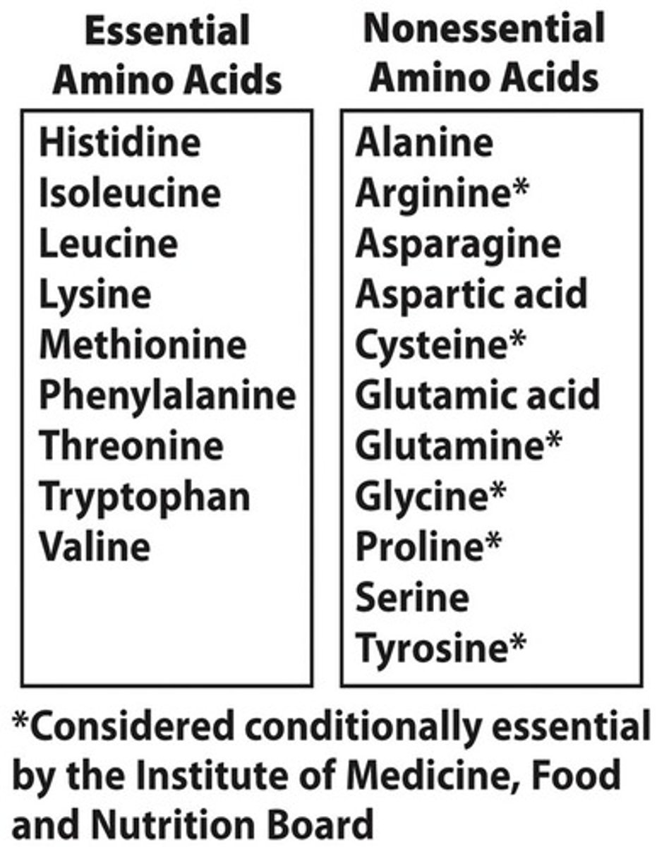 <p>Can be synthesized/ produced by our body</p>
