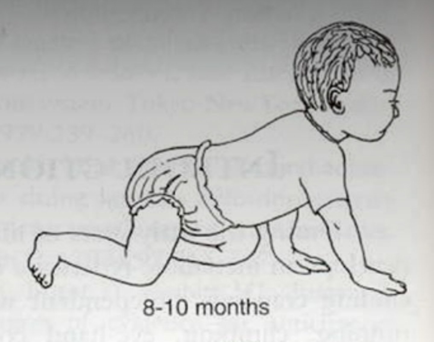 <p>-belly crawls</p><p>-quadruped creep</p><p>-side-sitting</p><p>-pulls to stand through kneeling</p><p>-Cruising</p><p>-stand alone</p><p>-pincer grasp</p><p>-object transfer between hands</p><p>-quadruped to sitting</p>