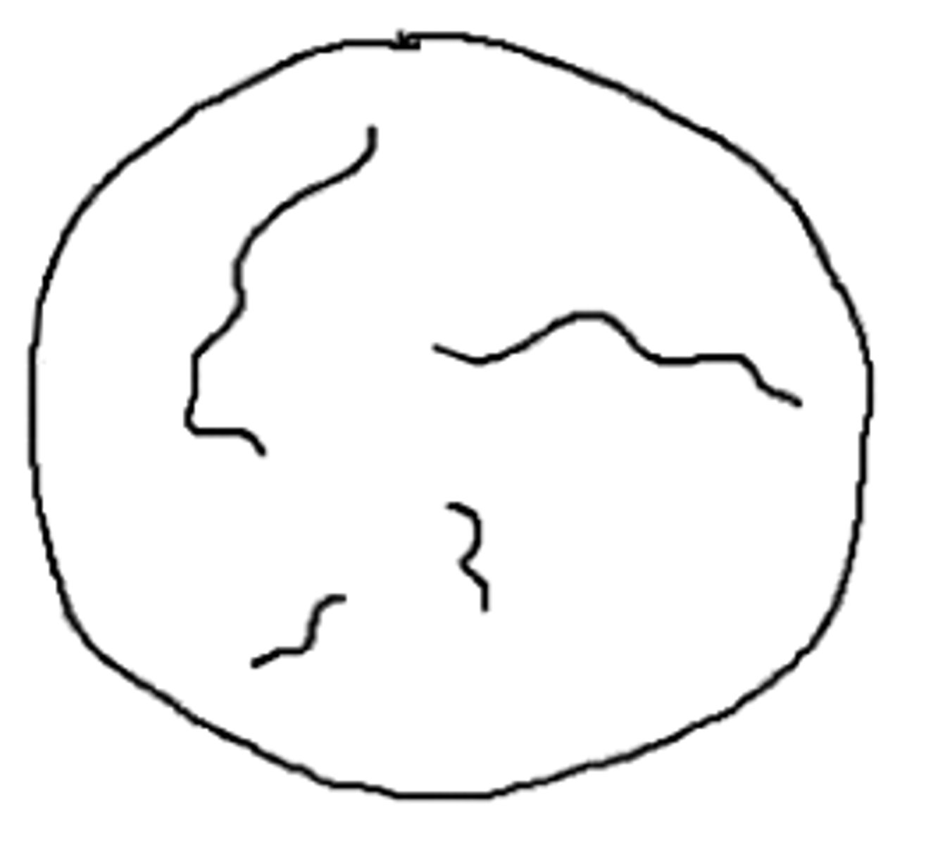 <p>This cell contains 4 non-replicated chromosomes. How many replicated chromosomes would it contain immediately following DNA replication?</p>