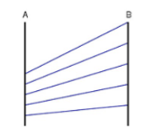 <p>what correlation does this parallel coordinate have?</p>