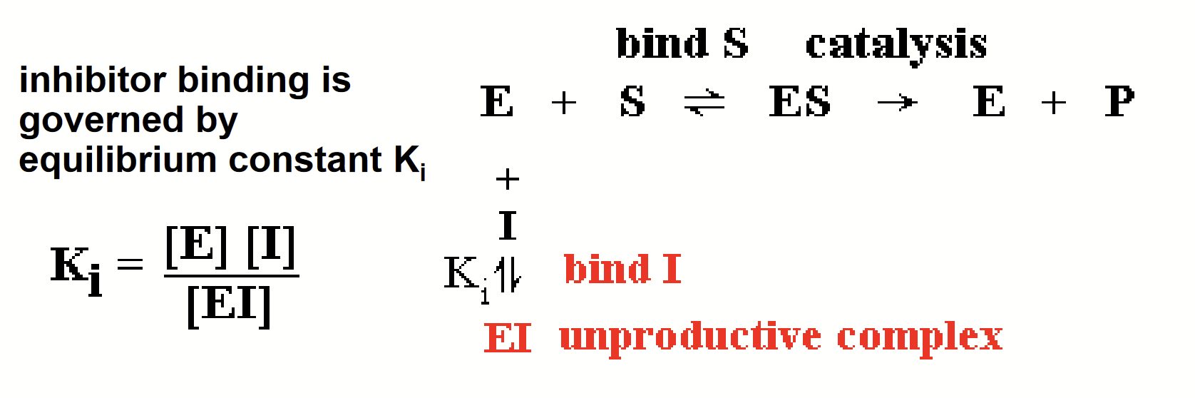 <ul><li><p>Different lines represent different [I]</p></li><li><p>No effect on V<sub>max</sub>, so all graph lines have the same y-intercept (y-intercept = 1/V<sub>max</sub>)</p></li><li><p>K<sub>M</sub>’ increases as [I] increases, so x-intercept gets smaller <strong>when considering absolute values</strong> (x-intercept = -1/K<sub>M</sub>)</p></li><li><p>Slope increases as [I] increases (slope = K<sub>M</sub>’/V<sub>max</sub>)</p><p></p></li></ul><p></p>