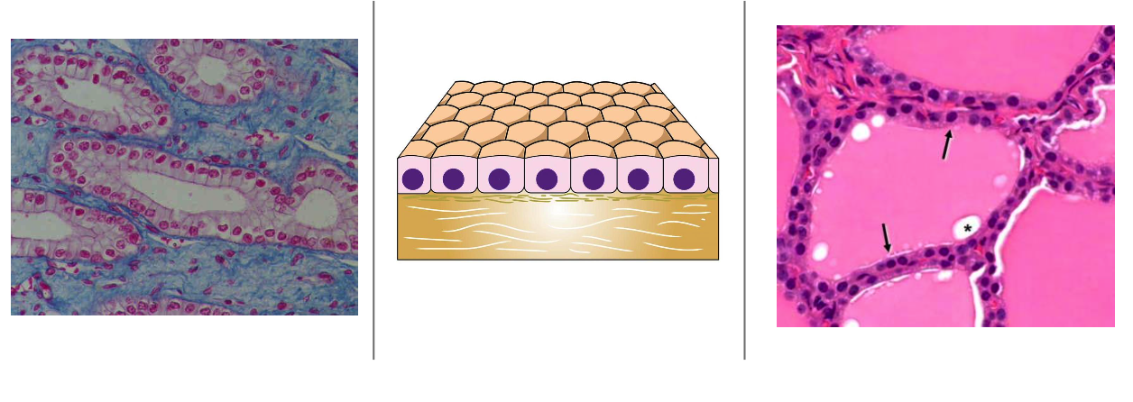 <p>What’s this?</p>