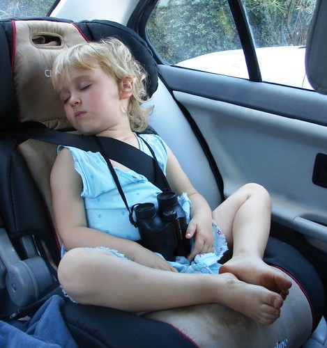 <p>a seat belt, restraint system or other device or combination of devices, designed to diminish the risk of injury to a child, in the event of collision or of abrupt deceleration of a vehicle, by limiting the mobility of the body of the child</p>