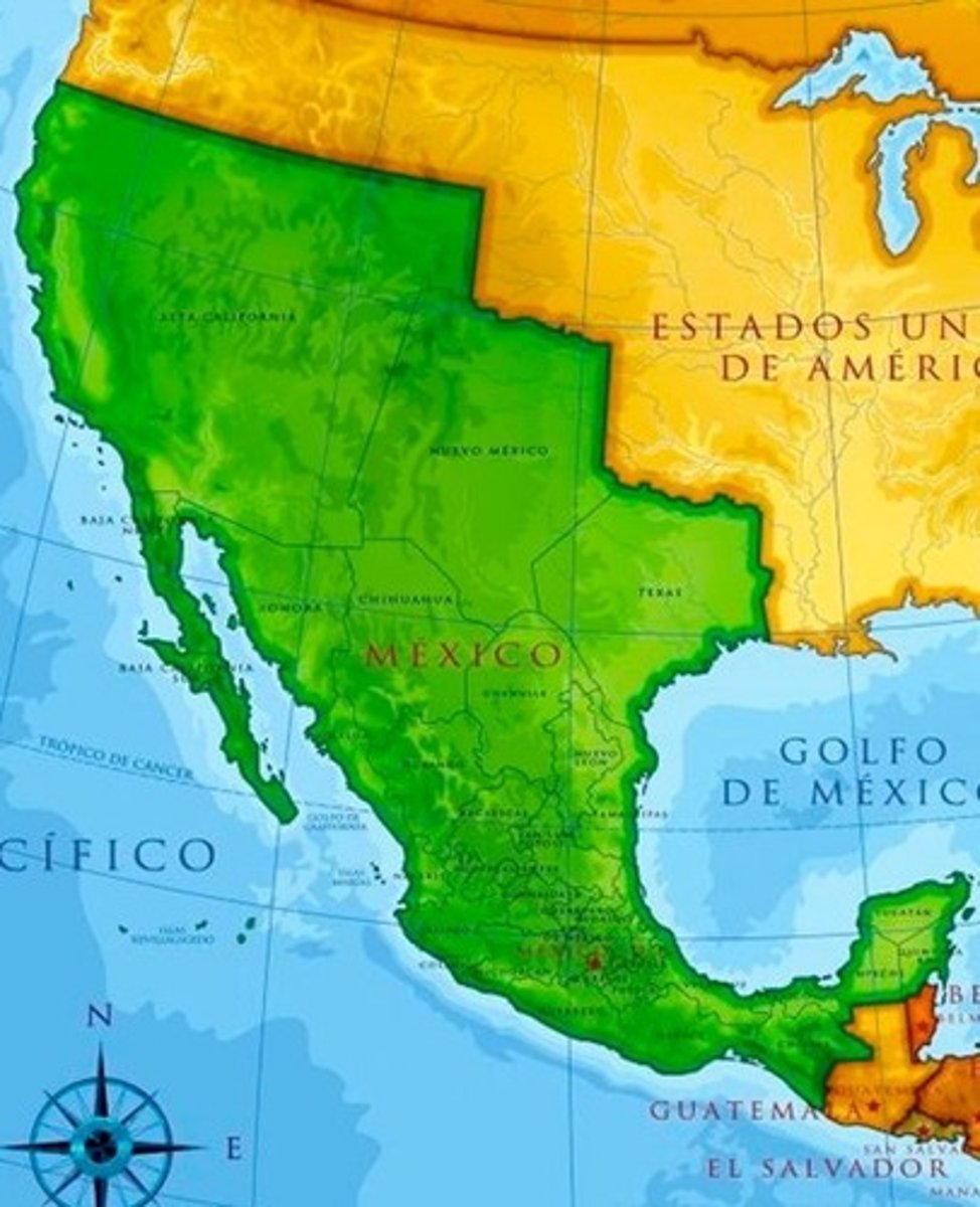 <p>they do not want to accept Mexican government and complain</p>