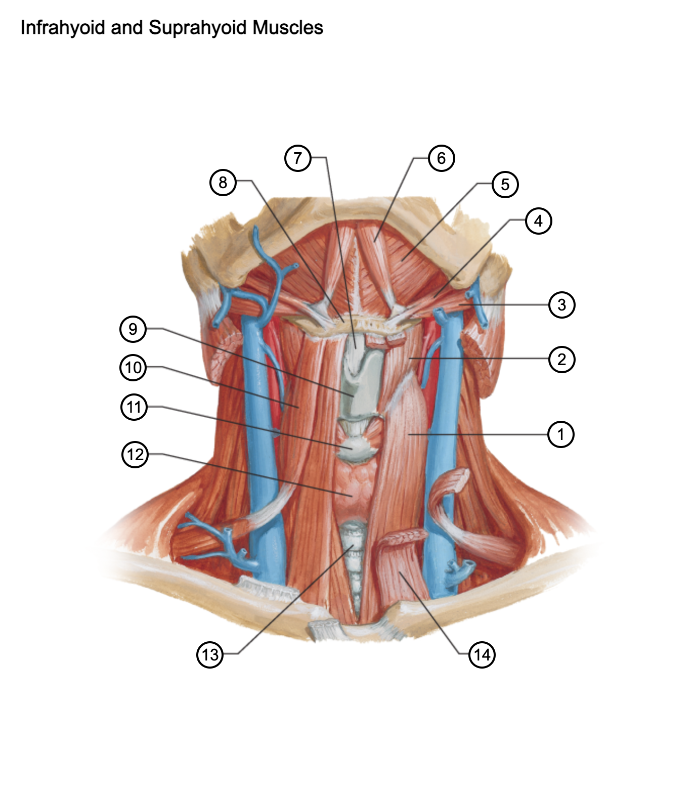 <p>1</p>