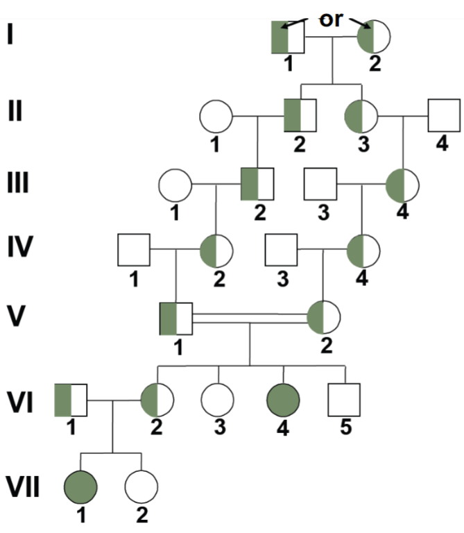 <ul><li><p>carriers of disease should be found in family because trait is rare </p></li></ul>