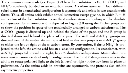 <p>The common amino acids (see Figure 3.2) have four substituents (R, H, COO, andNH3) covalently bonded to an -carbon atom. A carbon atom with four differentsubstituents in a tetrahedral configuration is asymmetric and exists in two enantiomericforms. Thus, all amino acids exhibit optical isomerism except glycine, in which R H and so two of the four substituents on the -carbon atom are hydrogen. The absoluteconfiguration for an amino acid is depicted in Figure 3.8 using the Fischer projectionto show the position in space of the tetrahedrally arranged -carbon substituents. The-COOgroup is directed up and behind the plane of the page, and the R group isdirected down and behind the plane of the page. The -H and -NH3groups aredirected toward the reader. An amino acid held in this way projects its -NH3groupto either the left or right of the -carbon atom. By convention, if the -NH3is pro-jected to the left, the amino acid has an Labsolute configuration. Its enantiomer, with-NH3projected toward the right, has a Dabsolute configuration. Mammalian pro-teins contain amino acids of only Lconfiguration. The Land Ddesignations refer to theability to rotate polarized light to the left (L, levo) or right (D, dextro) from its plane ofpolarization. As the amino acids in proteins are asymmetric, the proteins also exhibitasymmetric properties</p>
