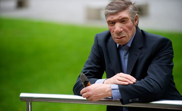 <ul><li><p>An important environmental change faced by the Neanderthals is ice ages (glacial).</p></li><li><p>Cold-adapted traits: large torso, short limbs, broad nasal passages</p></li><li><p>Average of 50 degrees C colder back than than today</p></li><li><p>Human brains don’t do well with sudden cold changes in temperatures, there is less oxygen which is not good for the brain, so that is where large noses come from. </p></li></ul><p></p>