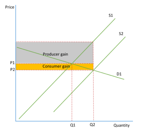 <ul><li><p>With a subsidy, elastic demand means that the consumer sees a <mark data-color="green" style="background-color: green; color: inherit">small fall in price</mark> whilst the producer <mark data-color="green" style="background-color: green; color: inherit">gains a lot in extra revenue</mark></p></li></ul><p></p><ul><li><p>also means there is a <mark data-color="green" style="background-color: green; color: inherit">large change in output following a subsidy</mark></p></li></ul><p></p><ul><li><p>gov has to <mark data-color="green" style="background-color: green; color: inherit">spend more</mark> for subsidies on elastic goods.</p></li></ul><p></p>
