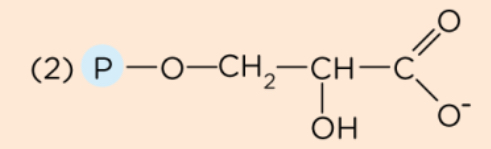 <p>What structure is this?</p>