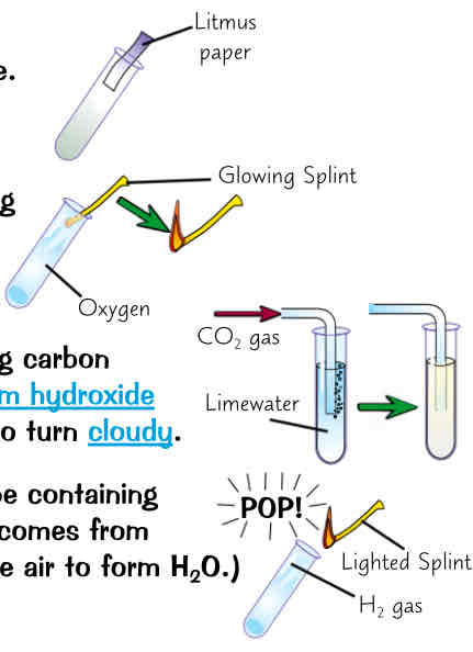 <ol><li><p>Chlorine → chlorine bleaches damp litmus paper, turning it white (may turn red for moment first though - because a solution of chlorine is acidic)</p></li><li><p>oxygen → if put glowing splint inside test tube containing oxygen, the oxygen will relight the glowing splint</p></li><li><p>carbon dioxide → bubbling carbon dioxide through (or shaking carbon dioxide with) an aqueous solution of calcium hydroxide (limewater) causes the solution to turn cloudy</p></li><li><p>hydrogen → if hold a splint at open end of test tube containing hydrogen, you’ll get squeaky pop (noise comes from hydrogen burning quickly w oxygen in air to form H_2O)</p></li></ol>