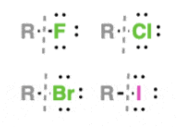 <ul><li><p>R-X —&gt; alkyl group bonded to a halide (F, Cl, Br, I)</p></li><li><p>examples: bromobutane, methyl bromide, chloroform </p></li><li><p>dipole-dipole interactions lead to higher boiling points than those found in alkanes </p></li><li><p>if R is alkene, they are alkenyl halides </p></li><li><p>very important functional groups for substitution and elimination reactions</p></li></ul><p></p>