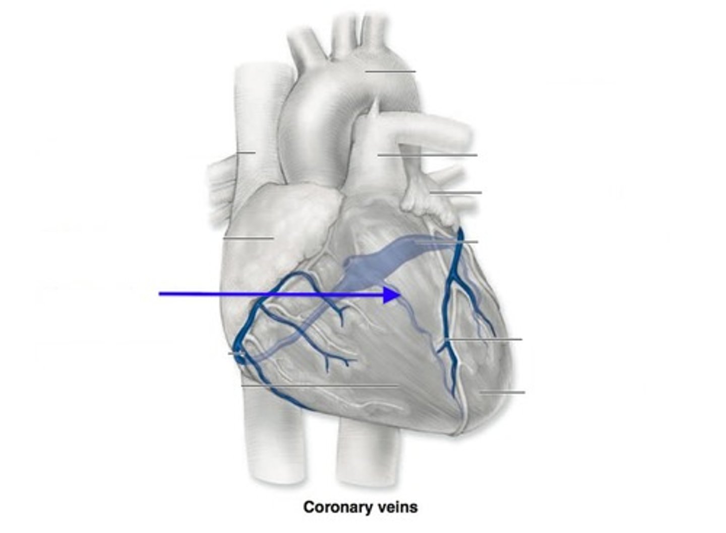 <p>left dark blue</p>