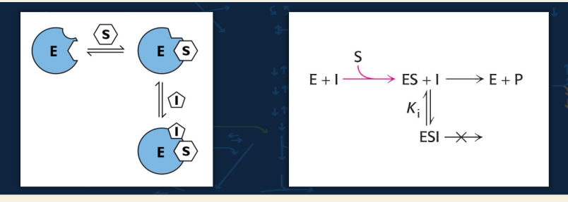 <p>uncompetitive - <span data-name="blue_square" data-type="emoji">🟦</span><strong> Flashcard 7: Reaction diagram meaning</strong><br><strong>Q:</strong> What does the reaction diagram show?<br></p>