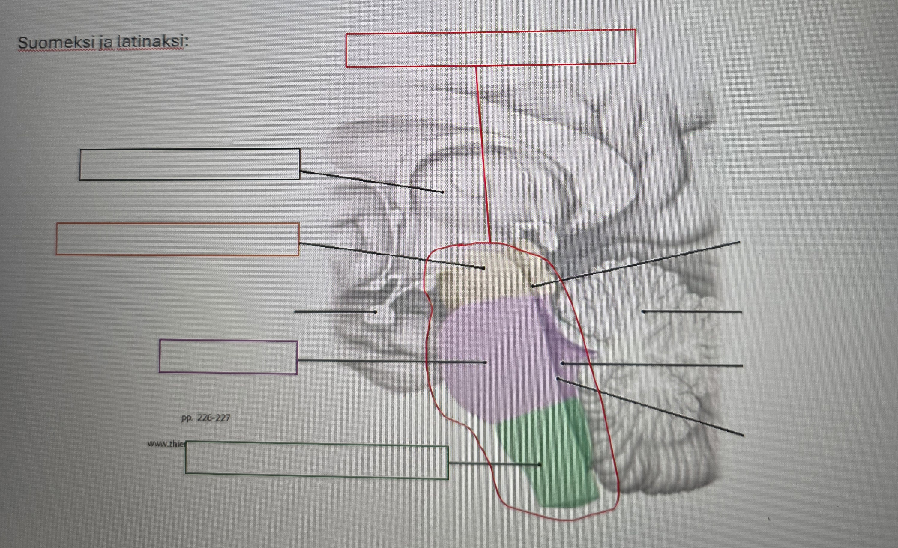 <p>Aivosilta</p>