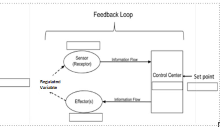 <p><span>Regulated Variable: </span></p>