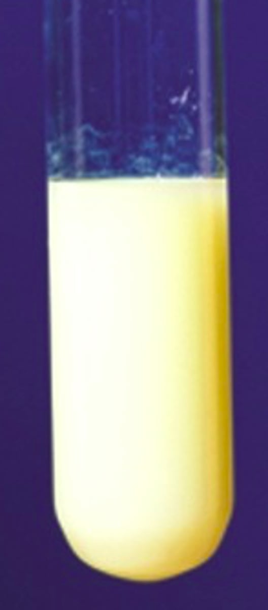 <p>Yellow precipitate produced</p>