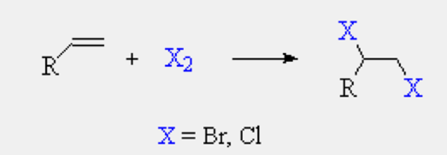 <p>1,2-Dihalide</p><p>anti addition (trans)</p>